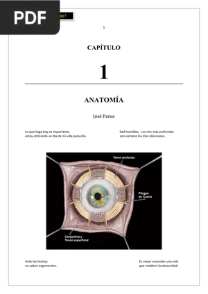 Anatomía: Ojos