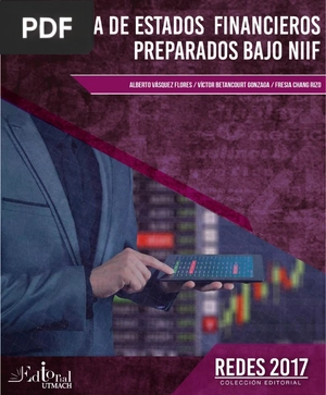 Auditoría de Estados Financieros preparados bajo NIIF