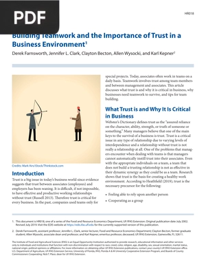 Building Teamwork and the Importance of Trust in a Business Environment (Inglés) (Artículo)