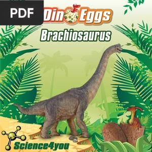 Dino eggs. Brachiosaurus