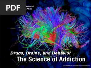 Drugs, Brains, and Behavior. The Science of Addiction (Inglés) (Presentación)