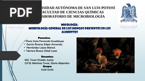 Micología: Morfología General De Los Hongos Presentes En Los Alimentos  (Presentación)