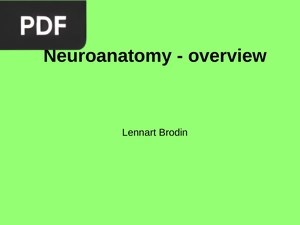 Neuroanatomy overview (Inglés) (Presentación)