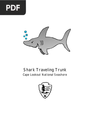 Shark Traveling Trunk (Inglés)