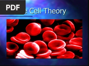 The Cell Theory (Inglés) (Presentación)