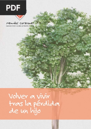 Volver a vivir tras la pérdida de un hijo