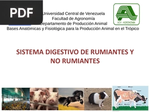 Sistema digestivo de rumiantes y no rumiantes (Presentación)