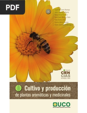 Cultivo y producción de planas aromáticas y medicinales