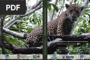 Jaguar Conservation and Management in Mexico (inglés)