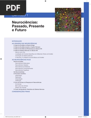 Neurociências: Passado, Presente e Futuro (Portugués)