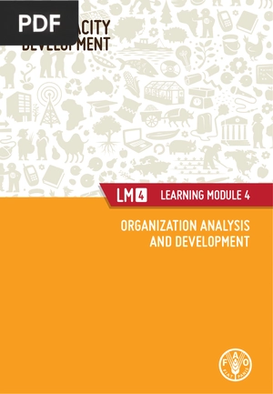 Organization analysis and development (inglés)