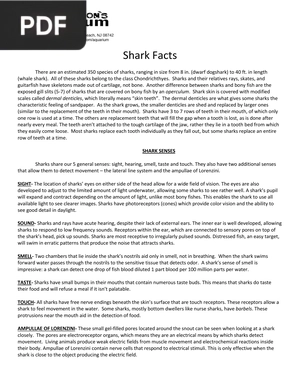 Shark Facts (Inglés) (Artículo)