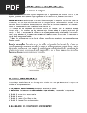 Tejidos vegetales o histología vegetal (Artículo)