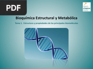 Bioquímica Estructural y Metabólica