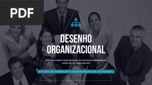 Desenho organizacional (Portugués) (Presentación)