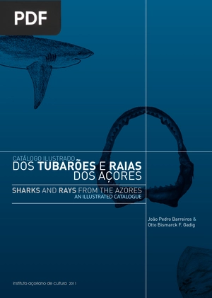 Dois tubarões e raias dos açores (Portugués)