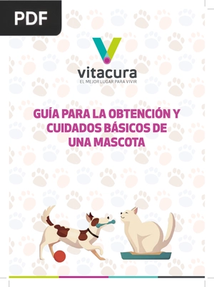 Guía para la Obtención y Cuidados Básicos de una Mascota