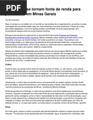 Suculentas se tornam fonte de renda para produtores em Minas Gerais (Portugués) (Artículo)