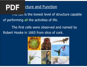 The Cell Structure and Function (inglés, presentación)