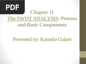 The Swot Analysis: Process and Basic Components (Inglés) (Presentación)