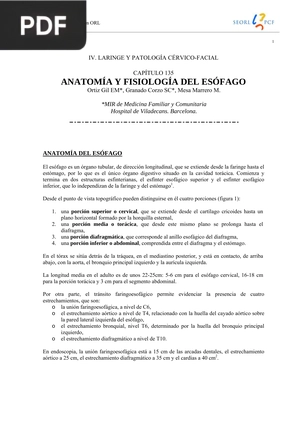 Anatomía: Sistema Digestivo - Esófago