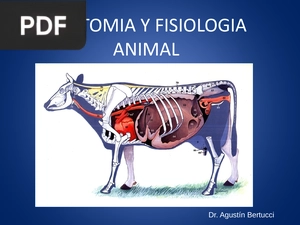 Anatomía y fisiología animal (Presentación)