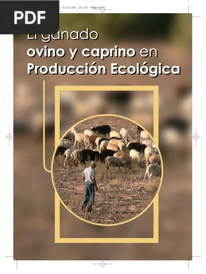 El ganado ovino y caprino en Producción Ecológica