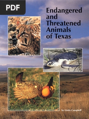 Endangered and Threatened Animals of Texas (inglés)