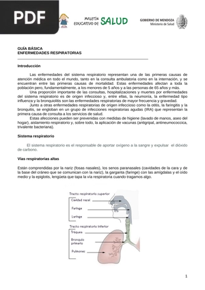 Guía básica. Enfermedades respiratorias (Artículo)