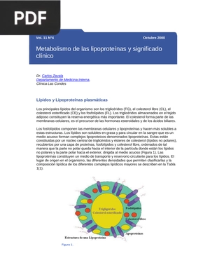 Metabolismo de las lipoproteínas y significado clínico