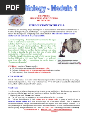 AS Biology: Structure and function of the cell (inglés)