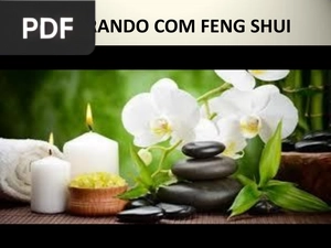 Decorando com Feng Shui (Portugués) (Presentación)