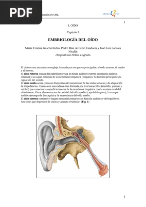 Embriología del oído