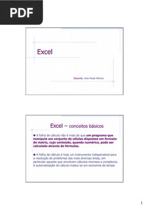 Excel (Portugués)