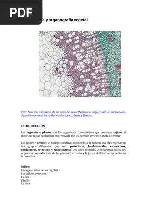 Histología y organografía vegetal