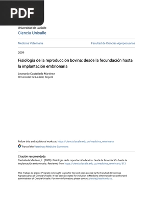 Fisiología de la reproducción bovina: desde la fecundación hasta la implantación embrionaria