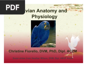 Avian Anatomy and Physiology