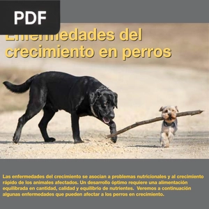 Enfermedades del crecimiento en perros