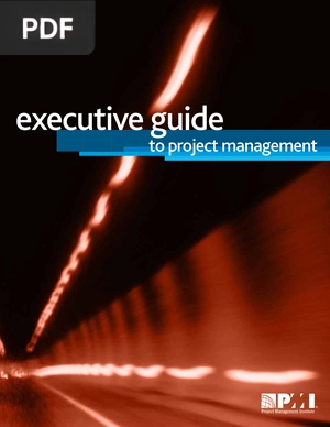 Executive guide to project management (inglés)