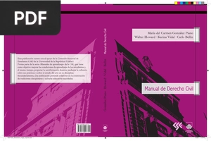 Manual de Derecho Civil