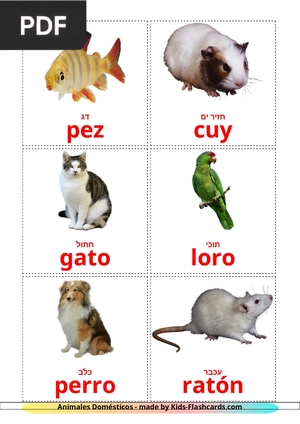 Tarjetas de Animales Domésticos