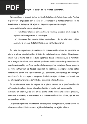 Tejidos que constituyen el cuerpo de las Plantas Superiores