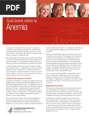 Guía breve sobre la anemia (Artículo)