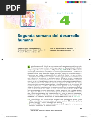 Segunda semana del desarrollo humano (Artículo)