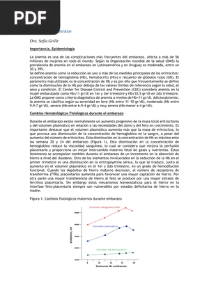 Anemia y Embarazo (Artículo)