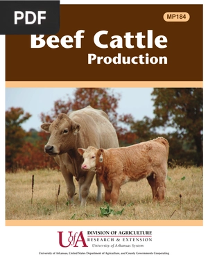 Beef Cattle Production (Inglés)