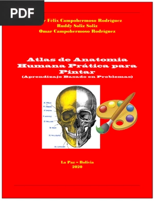 Atlas de Anatomía Humana práctica para pintar