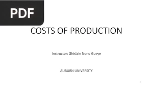 Cost of production (Inglés) (Presentación)