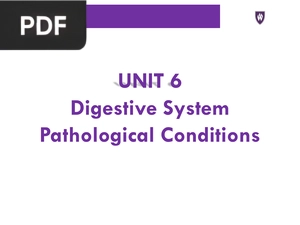 Digestive System Pathological Conditions (Inglés) (Presentación)