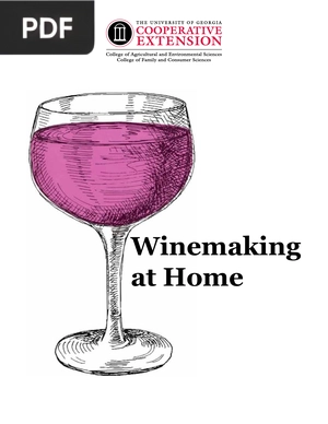 Winemaking at Home (Inglés)